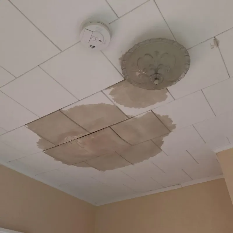Ceiling Water Damage Repair in Ralls, TX