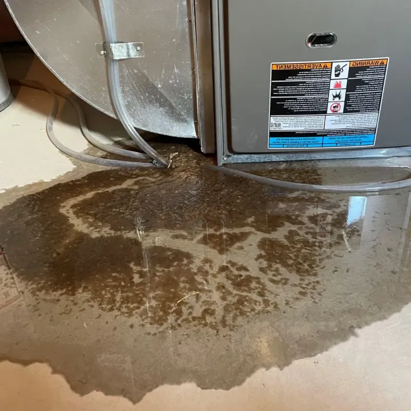 Pipe Burst and Leak Restoration in Ralls, TX