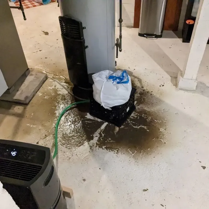 Sewage Backup Cleanup Service in Ralls, TX
